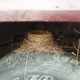 Strangely, this is the SECOND time I’ve spotted a bird’s nest on top of the tire of a full-size Jeep. This one here was on a Grand Wagoneer’s front tire (I was contemplating buying this Woodie when I looked at my Golden Eagle).